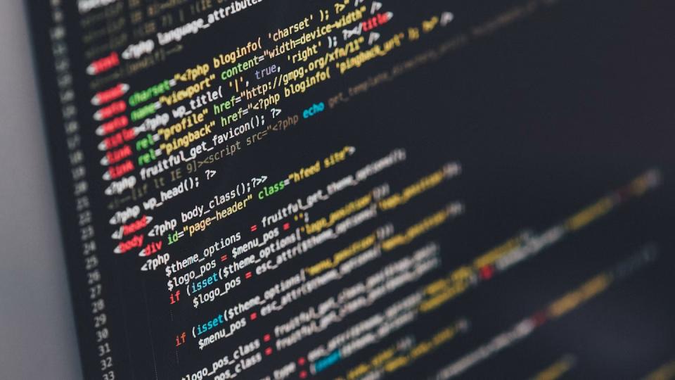 Payload CMS: Our Honest Review After 6 Months